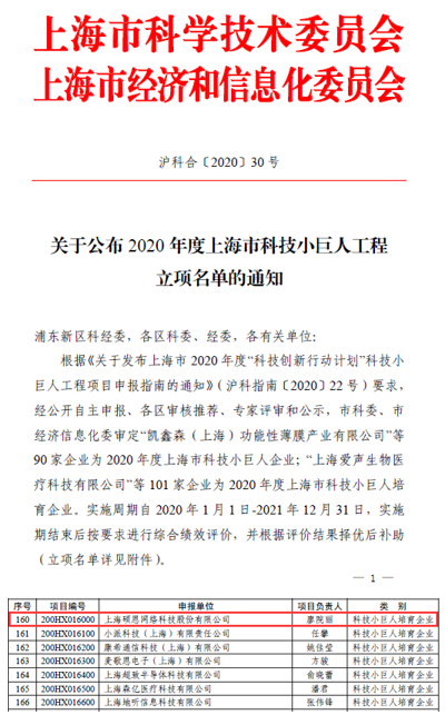 上海市科技小巨人企业